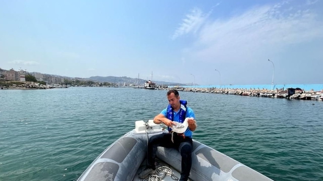 Gemlik Körfezi'nde uçamayan martı dalgıç polisler tarafından kurtarıldı