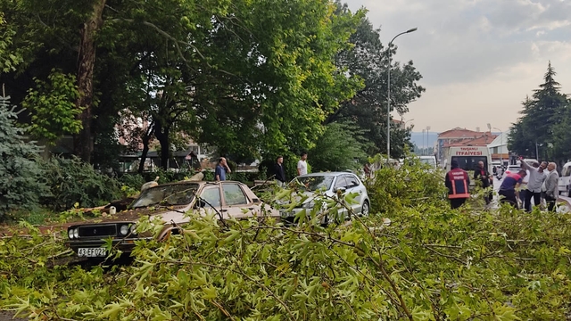 Kütahya'da fırtına nedeniyle kırılan ağaç dalları park halindeki araçlara zarar verdi