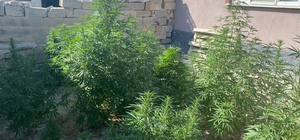 Cihanbeyli'de uyuşturucu operasyonunda bir kişi gözaltına alındı