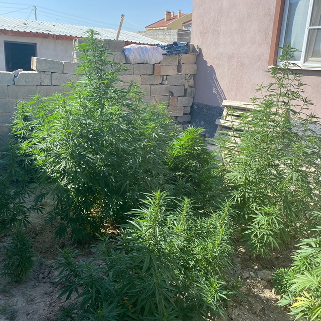 Cihanbeyli'de uyuşturucu operasyonunda bir kişi gözaltına alındı