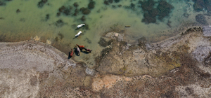 İzmir'deki Tahtalı Barajı'nda doluluk son 14 yılın en düşük seviyesinde