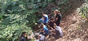 Bartın'da kestiği ağacın altında kalan orman işçisi öldü