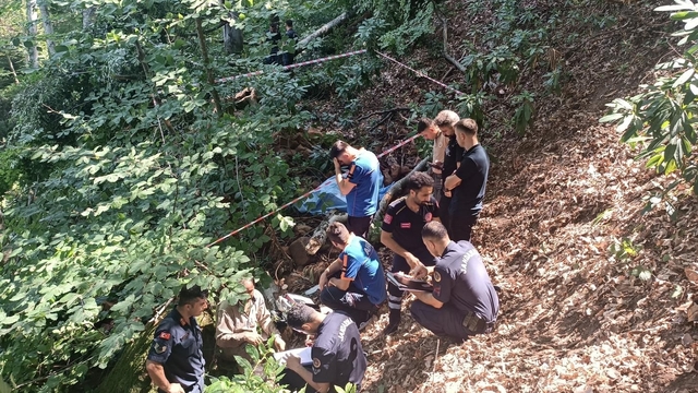 Bartın'da kestiği ağacın altında kalan orman işçisi öldü