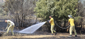 Uşak'ta buğday ekili tarım arazisinde çıkan yangın söndürüldü