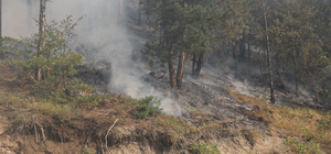 Bolu'da orman yangını alanlarındaki soğutma çalışması sürüyor