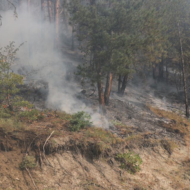Bolu'da orman yangını alanlarındaki soğutma çalışması sürüyor