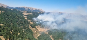 Kahramanmaraş'ta çıkan orman yangınına müdahale ediliyor