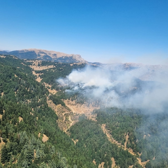 Kahramanmaraş'ta çıkan orman yangınına müdahale ediliyor