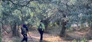 Yalova'da kaybolan öğretmen için arama çalışması başlatıldı