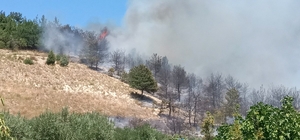 Sakarya'da çıkan yangında yaklaşık 8 dönüm ağaçlık alan yandı