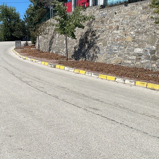 Düzce'de bazı üreticiler topladıkları fındığı yol kenarı ve kaldırımlarda k...
