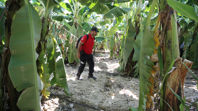 Alanya'da kaybolan Alman turist aranıyor