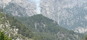 Osmaniye'de çıkan orman yangını kontrol altına alındı