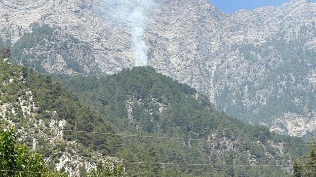 Osmaniye'de çıkan orman yangını kontrol altına alındı