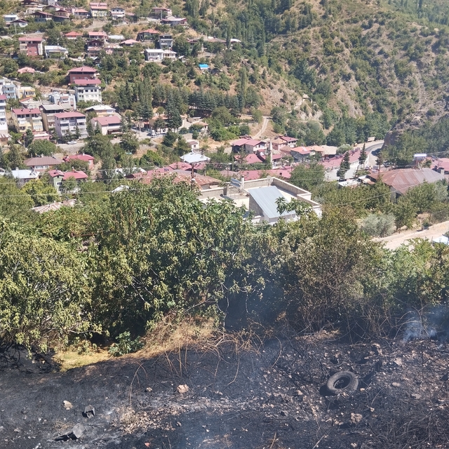 Saimbeyli'de çıkan bahçe yangını söndürüldü