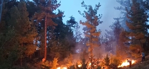 Adana'da çıkan orman yangını kontrol altına alındı