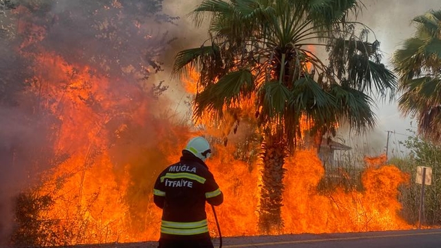 Muğla'da park halindeyken alev alan panelvan yandı
