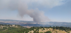 Eskişehir'de ormanlık alanda çıkan yangına müdahale ediliyor