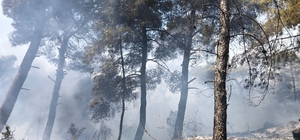 İzmir'de ormanlık alanda çıkan yangın kontrol altına alındı