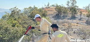 Siirt'te ormanlık alanda çıkan yangın kontrol altına alındı