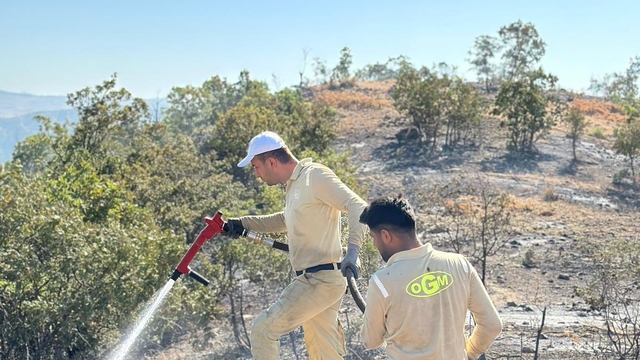 Siirt'te ormanlık alanda çıkan yangın kontrol altına alındı