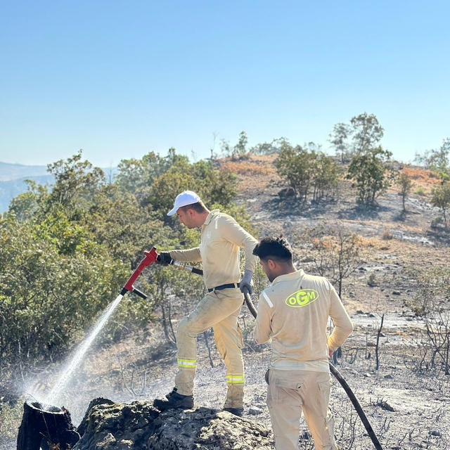 Siirt'te ormanlık alanda çıkan yangın kontrol altına alındı