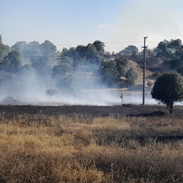 Tokat'ta çıkan anız yangını söndürüldü