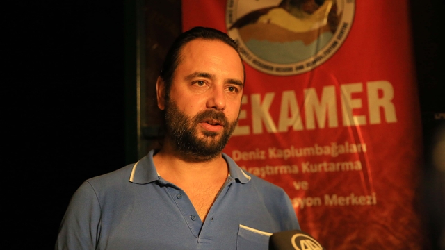 Uydu cihazıyla en uzun süre izlenen "Caretta Caretta Tuba" 25 bin kilometre katetti