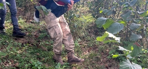 Ordu'da kayıp olarak aranan yaşlı kadın fındık bahçesinde bulundu