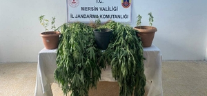Mersin'de uyuşturucu operasyonunda 3 zanlı yakalandı