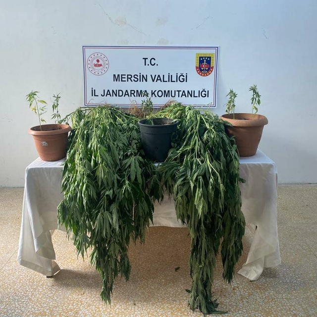 Mersin'de uyuşturucu operasyonunda 3 zanlı yakalandı