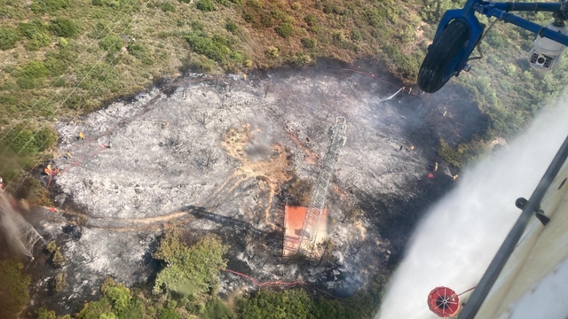 İzmir'de çıkan orman yangını kontrol altına alındı