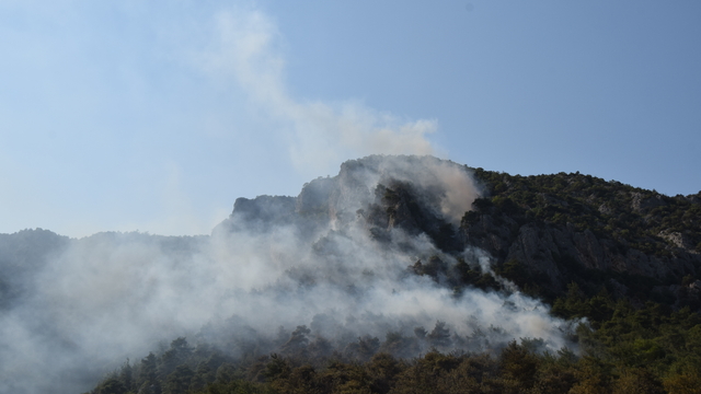 GÜNCELLEME - Bilecik'te çıkan orman yangını kısmen kontrol altına alındı