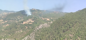Adana'da çıkan orman yangınına müdahale ediliyor