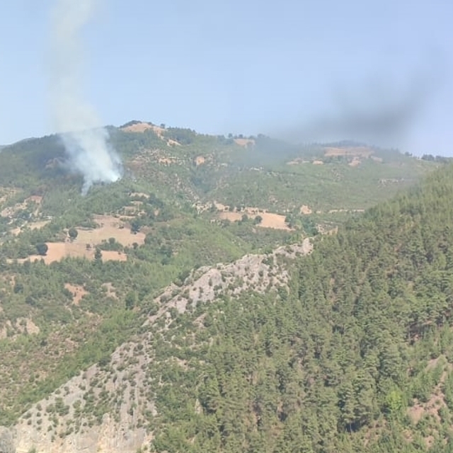 Adana'da çıkan orman yangınına müdahale ediliyor