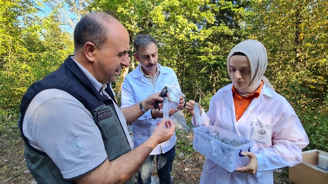 Bartın'da şimşir güvesiyle mücadele kapsamında faydalı böcek salımı yapıldı