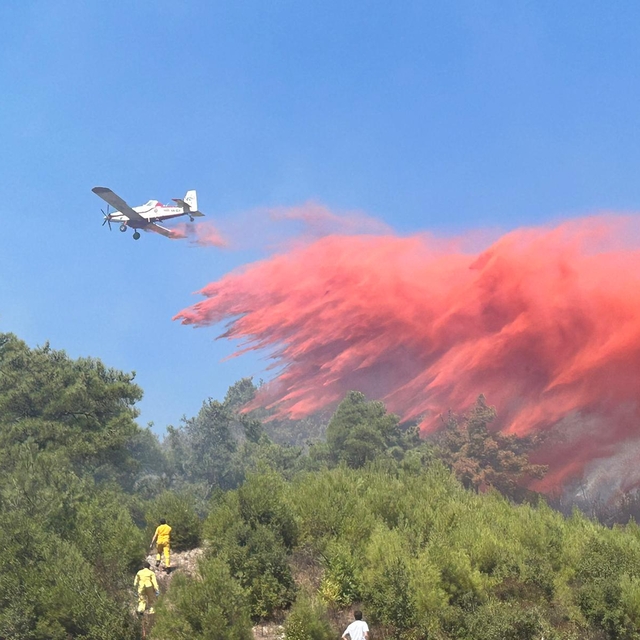 GÜNCELLEME - Adana'da çıkan orman yangını kontrol altına alındı