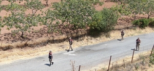 Siirt'te fıstık hırsızlığına karşı denetimler artırıldı