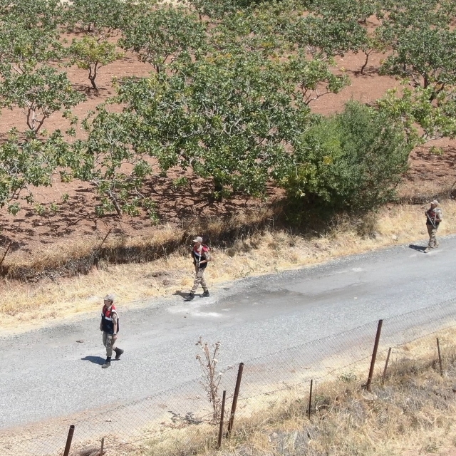 Siirt'te fıstık hırsızlığına karşı denetimler artırıldı