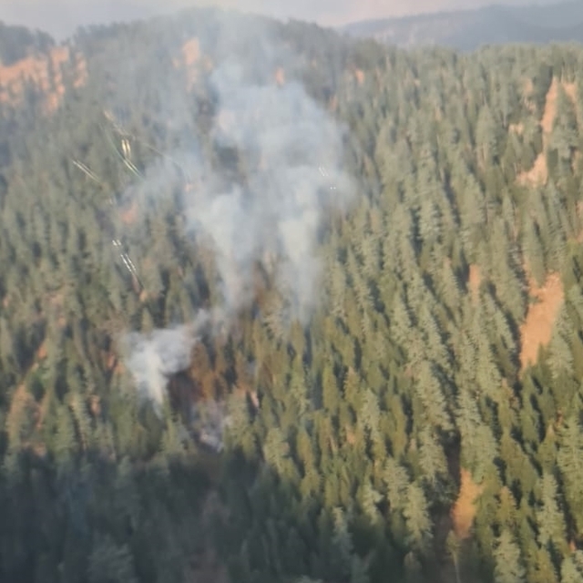 Osmaniye'de çıkan orman yangınına müdahale ediliyor