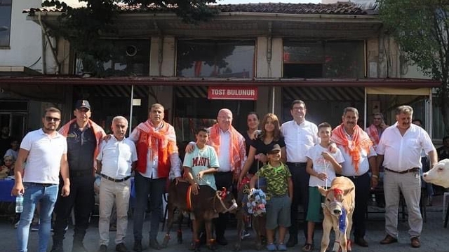 Muğla'da "Buzağı Güzellik Yarışması" düzenlendi