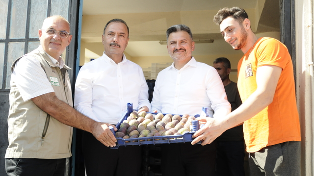 Bursa'da incir rekoltesinde beklenti 36 bin ton