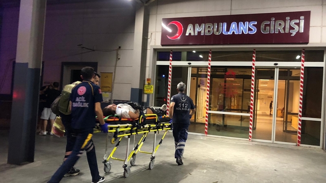 Aydın'da otomobilin kamyonete çarptığı kazada 4 kişi yaralandı