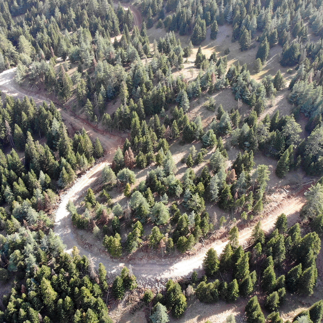 Göksun'da 36 kilometre yeni orman yolu yapıldı