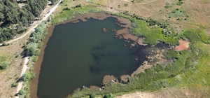 Hazım Dağlı Tabiat Parkı sıcak havalardan bunalanların uğrak yeri oldu