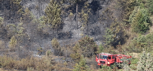 GÜNCELLEME - Çankırı'nın Ilgaz ilçesinde çıkan orman yangını kontrol altına...