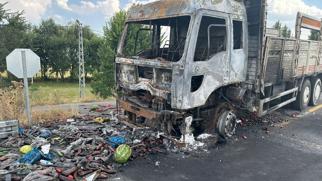 Kars'ta seyir halindeki sebze yüklü kamyon yandı