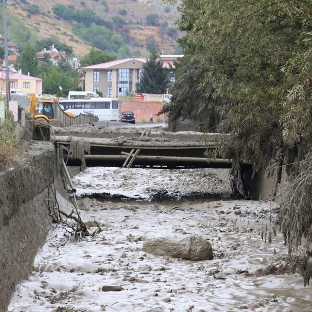 Erzincan ile Iğdır'da sağanak sonucu taşkınlar ve sel meydana geldi