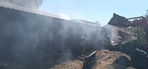 İzmir'de samanlık yangınında 2 hayvan telef oldu, 22 hayvan yaralandı