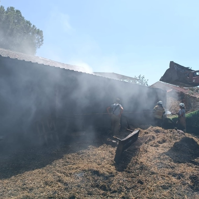 İzmir'de samanlık yangınında 2 hayvan telef oldu, 22 hayvan yaralandı